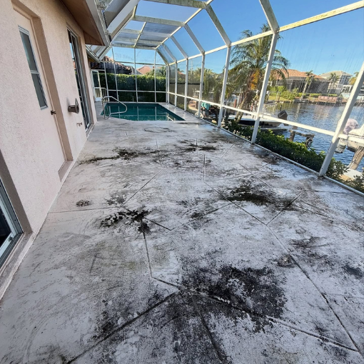Professionl Pressure washing in naples, fl