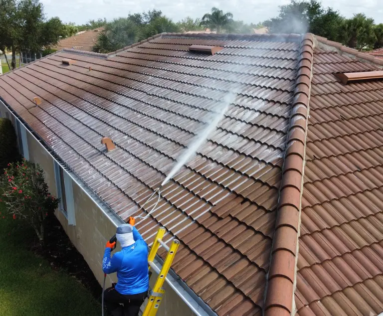 Naples fl roof cleaning