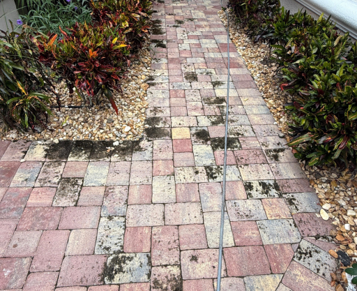 sidewalk cleaning service in Naples Fl