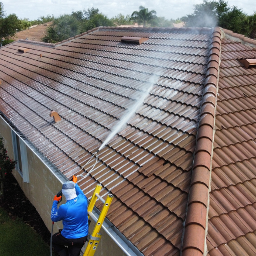 commercial house soft washing services in Naples